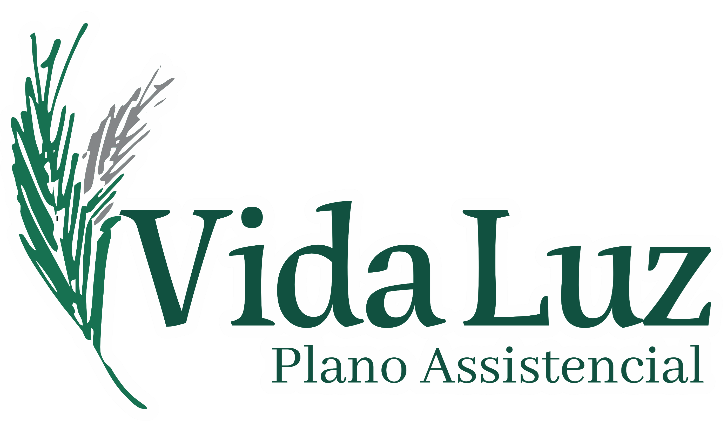 VIDA LUZ Plano Assistêncial VIDA LUZ Plano Assistêncial